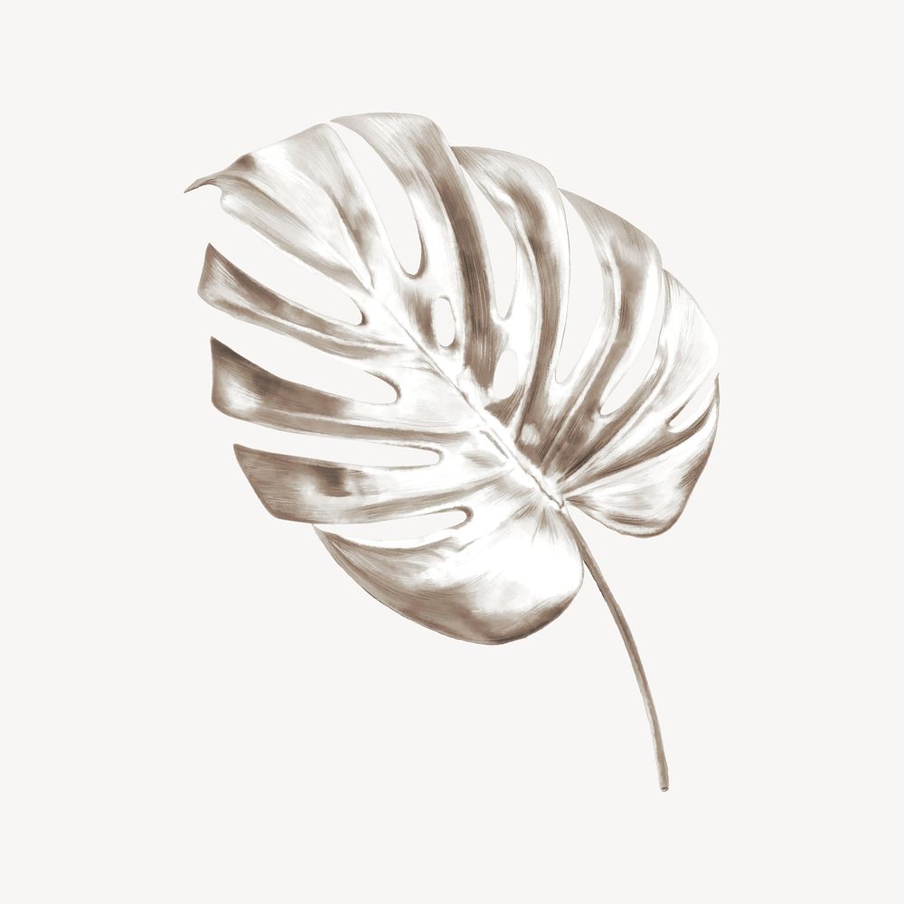 Silver monstera leaf, collage element psd