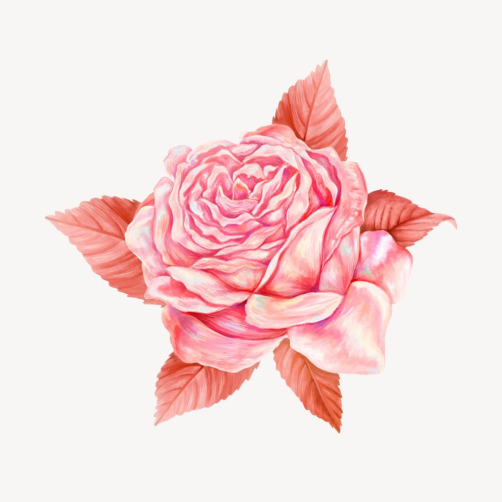 Pink vintage rose, flower collage element psd
