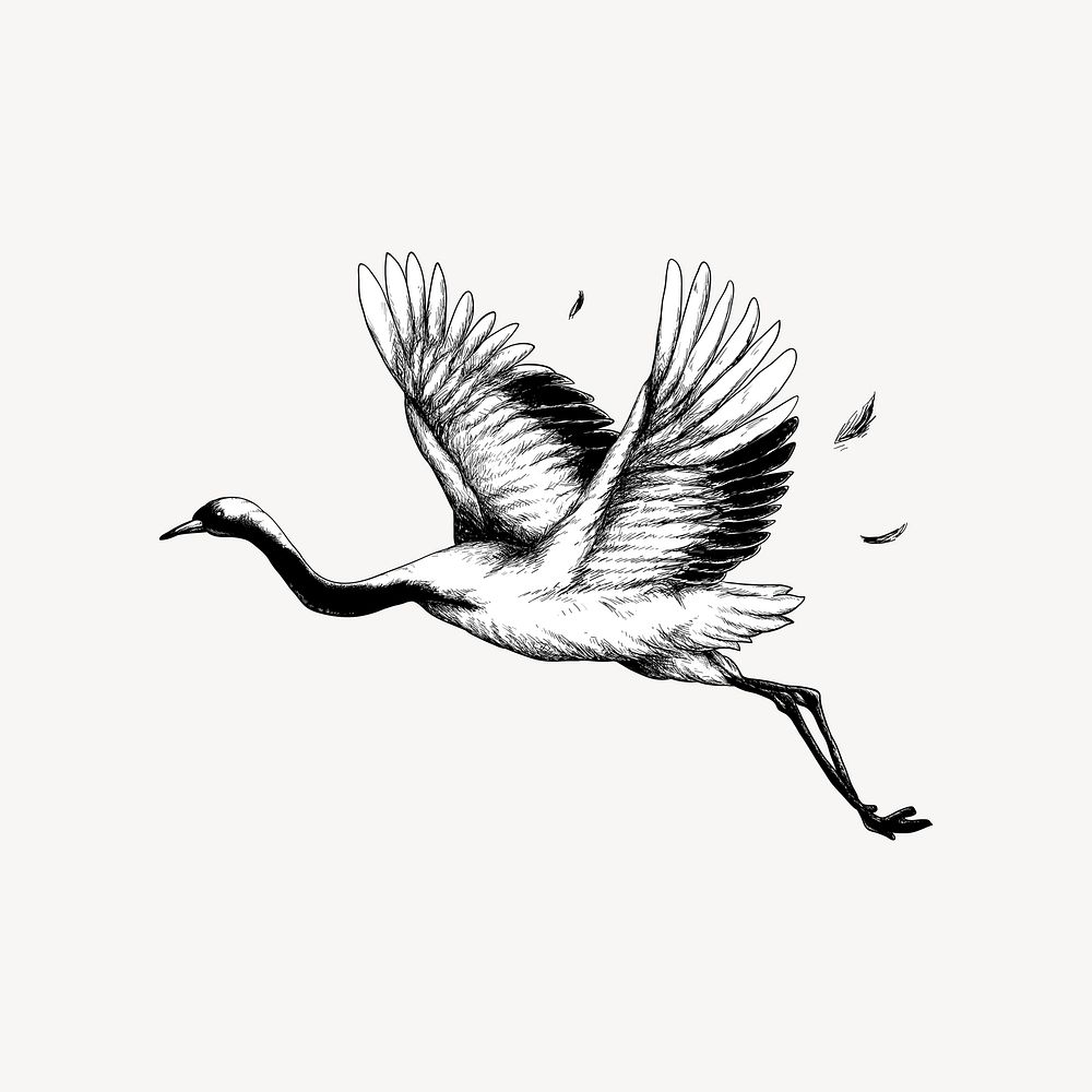 Flying crane element, black & white design vector