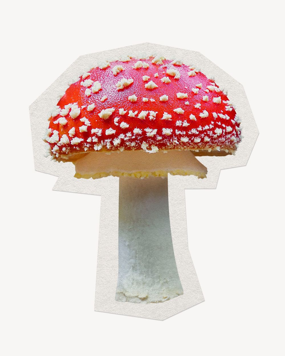 Poison mushroom paper cut isolated design