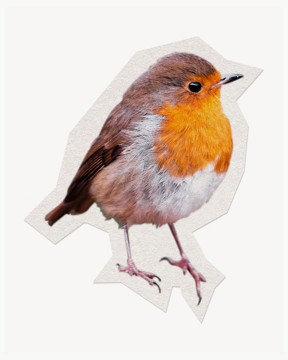 American robin bird paper cut isolated design
