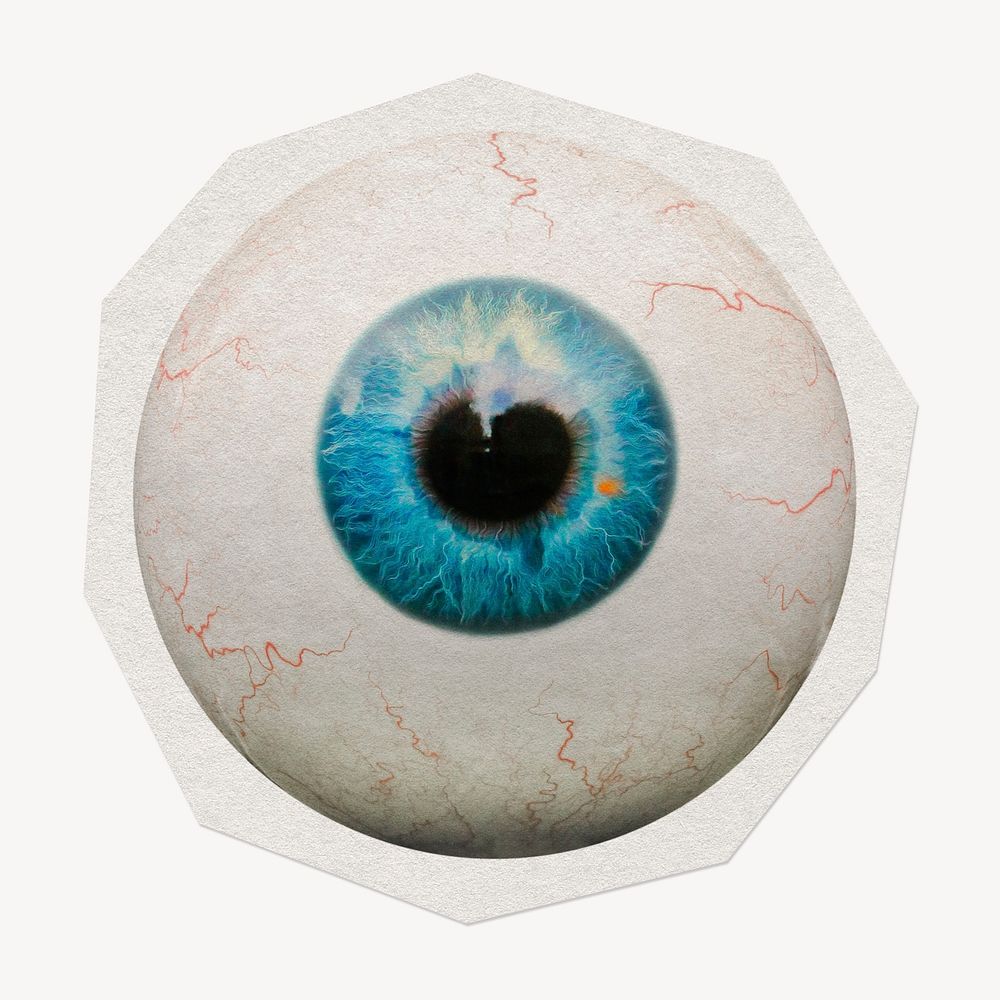 Blue eyeball  paper cut isolated design