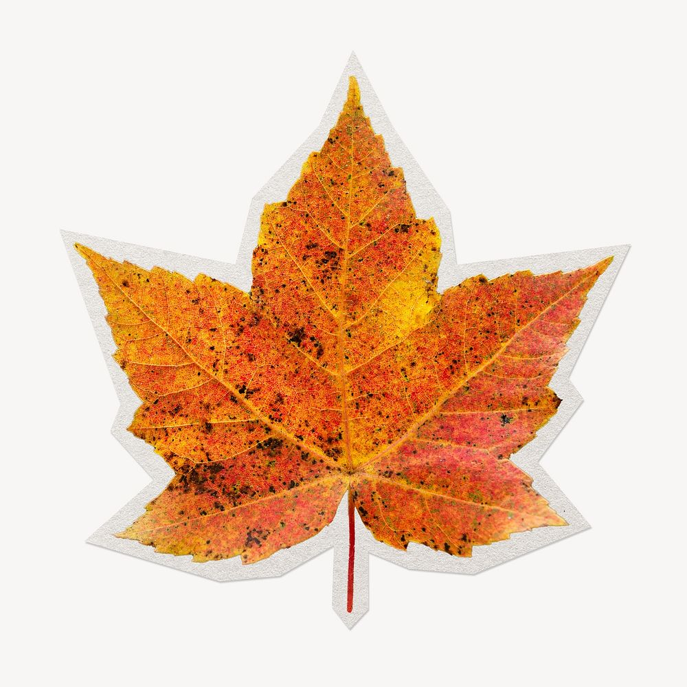 Fall maple leaf paper cut isolated design