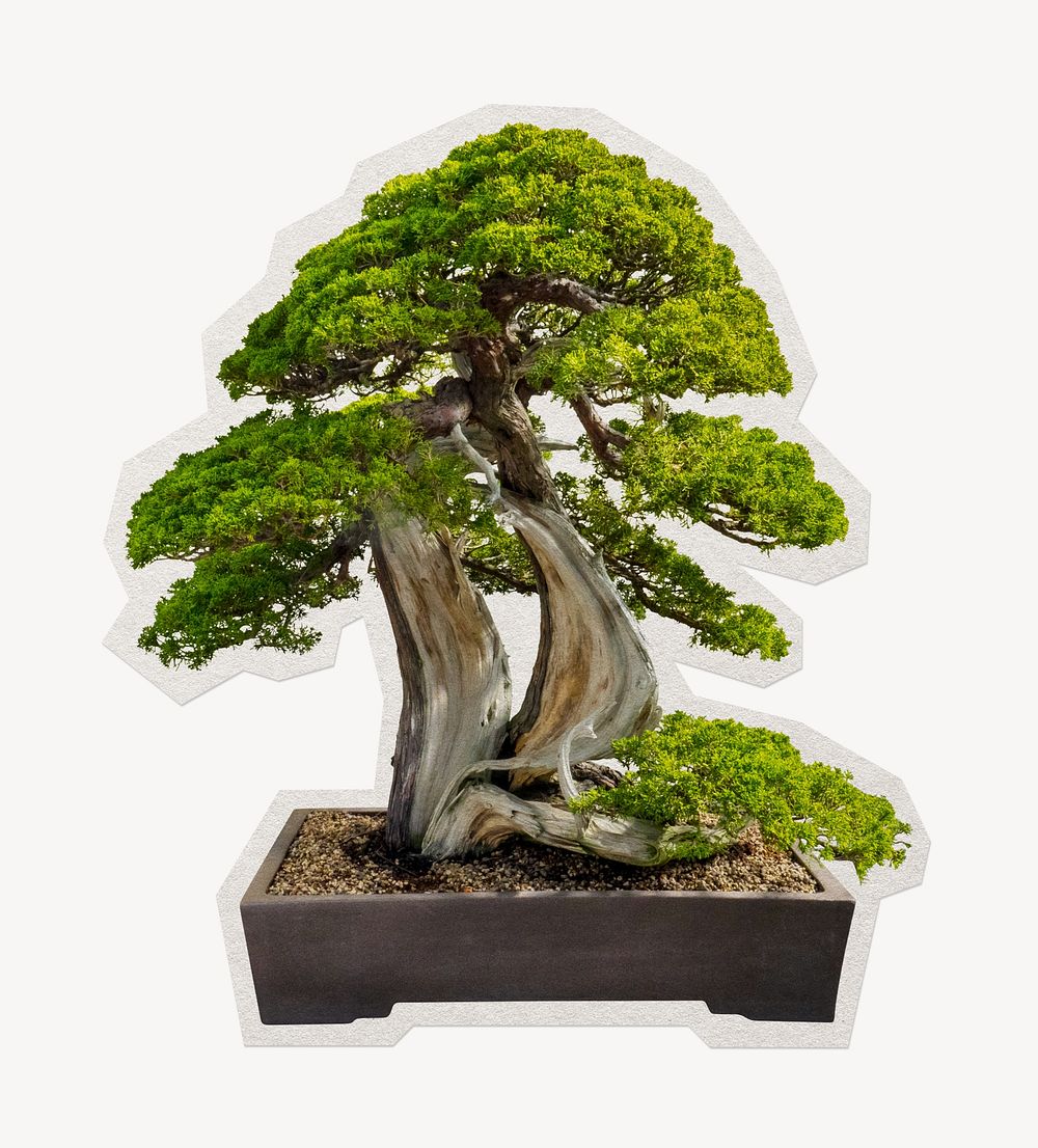 Japanese bonsai tree paper cut | Free Photo - rawpixel