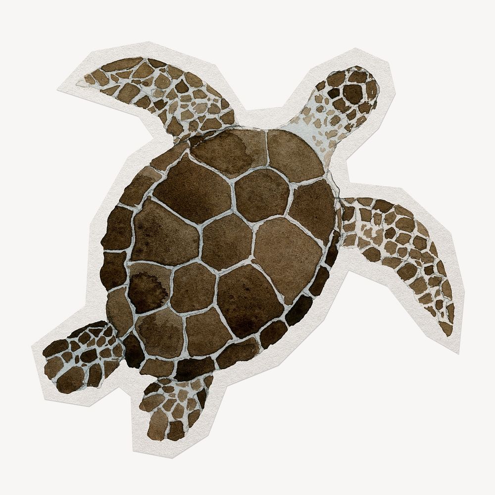 Watercolor sea turtle, paper cut clipart