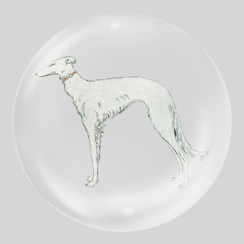 Greyhound dog in bubble. Remixed by rawpixel.