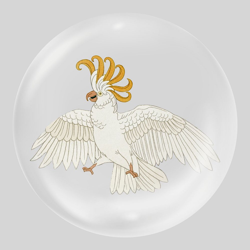 Cockatoo bird in bubble. Remixed by rawpixel.