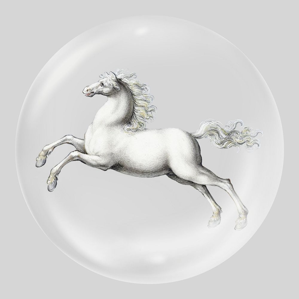 White horse in bubble, vintage animal illustration. Remixed by rawpixel.