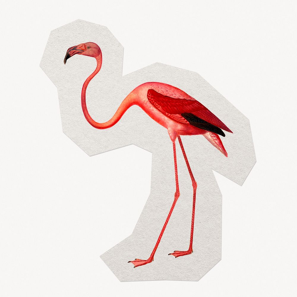 Flamingo paper cut isolated design