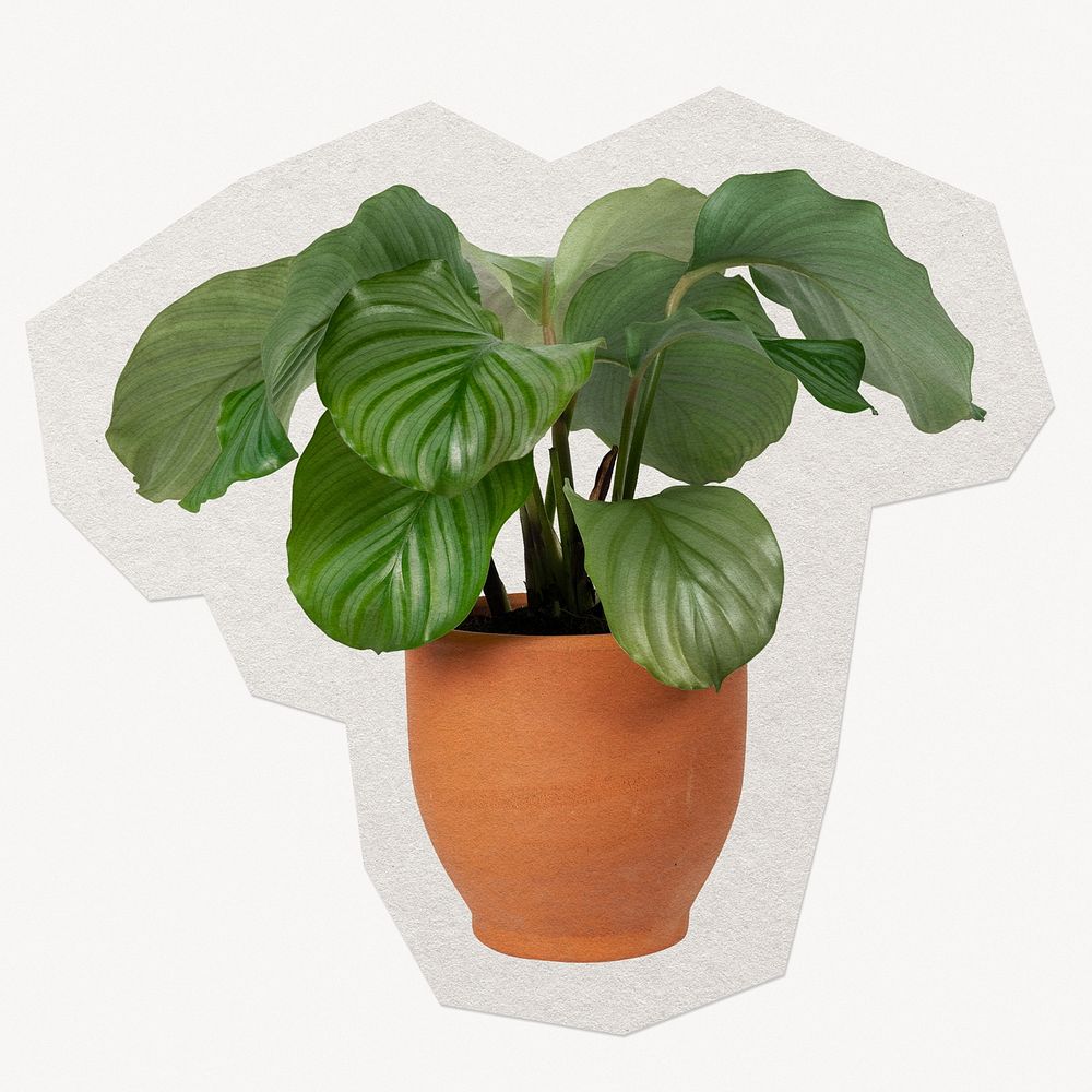 Potted houseplant paper cut isolated design