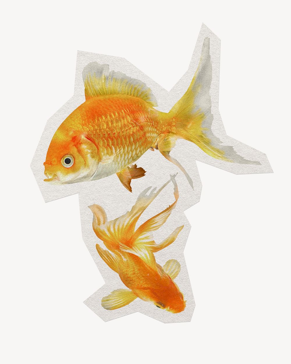 Goldfish paper element with white border