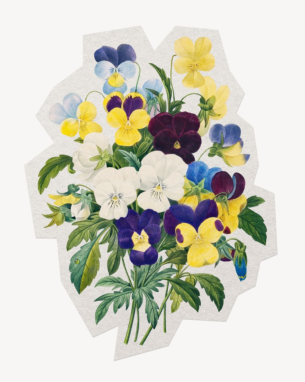 Pansy flower paper element with white border