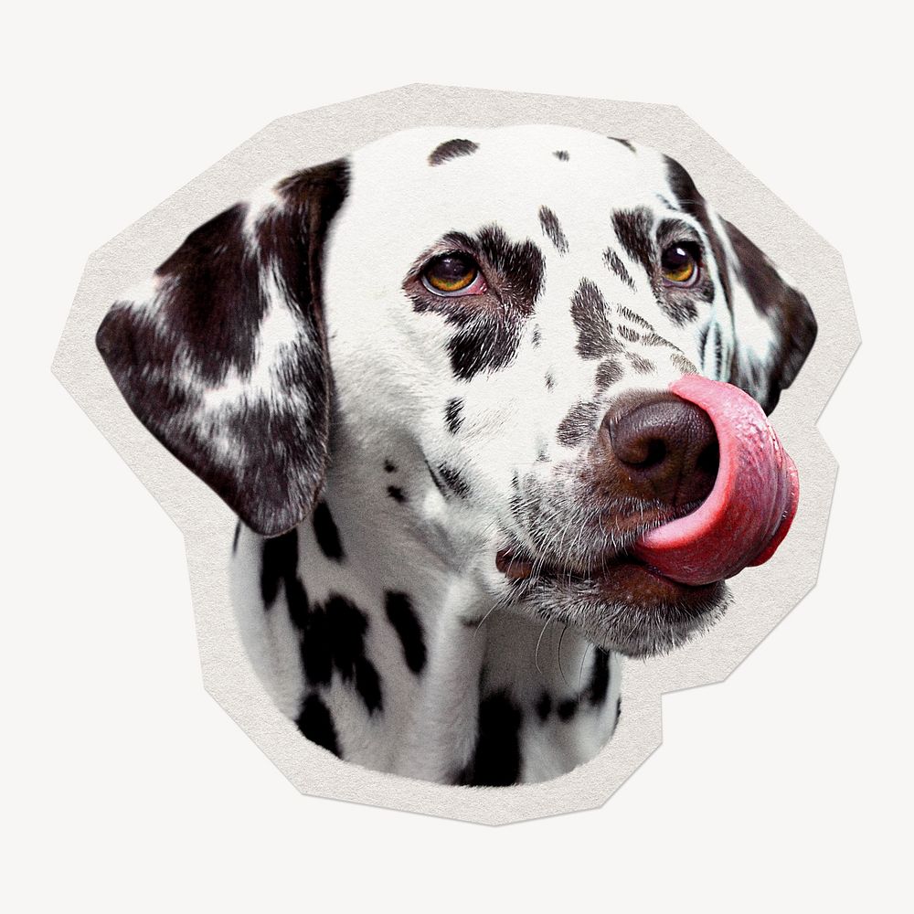 Dalmatian tongue out paper element with white border