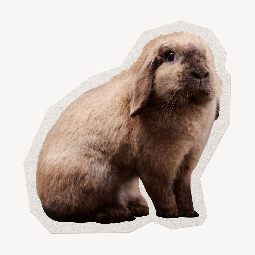 Brown rabbit  paper element with white border