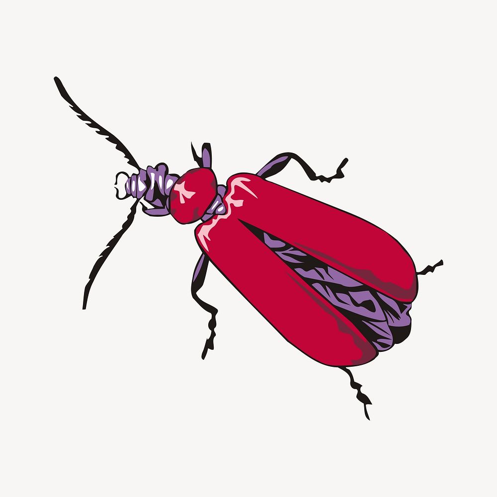 Fire coloured beetle illustration. Free public domain CC0 image.