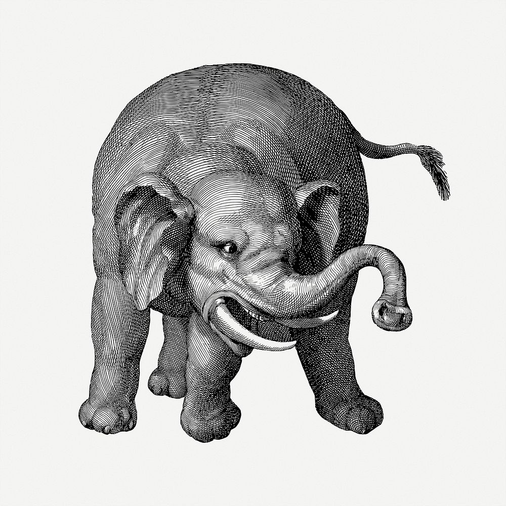 Elephant clipart illustration psd. Free public domain CC0 image.