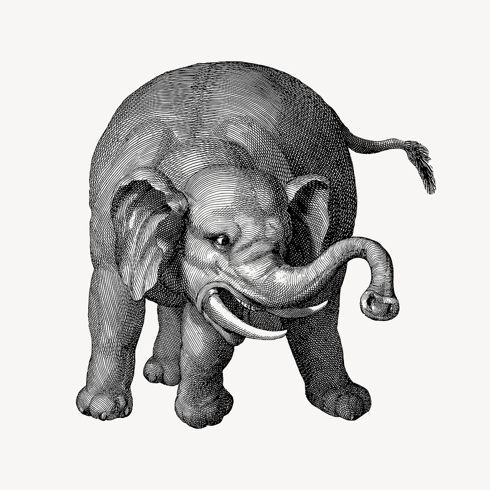 Elephant clipart illustration vector. Free public domain CC0 image.