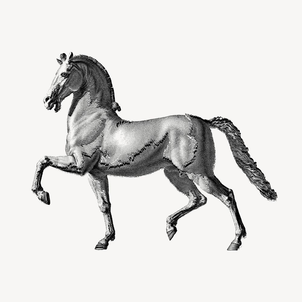 Horse collage element vector. Free public domain CC0 image.