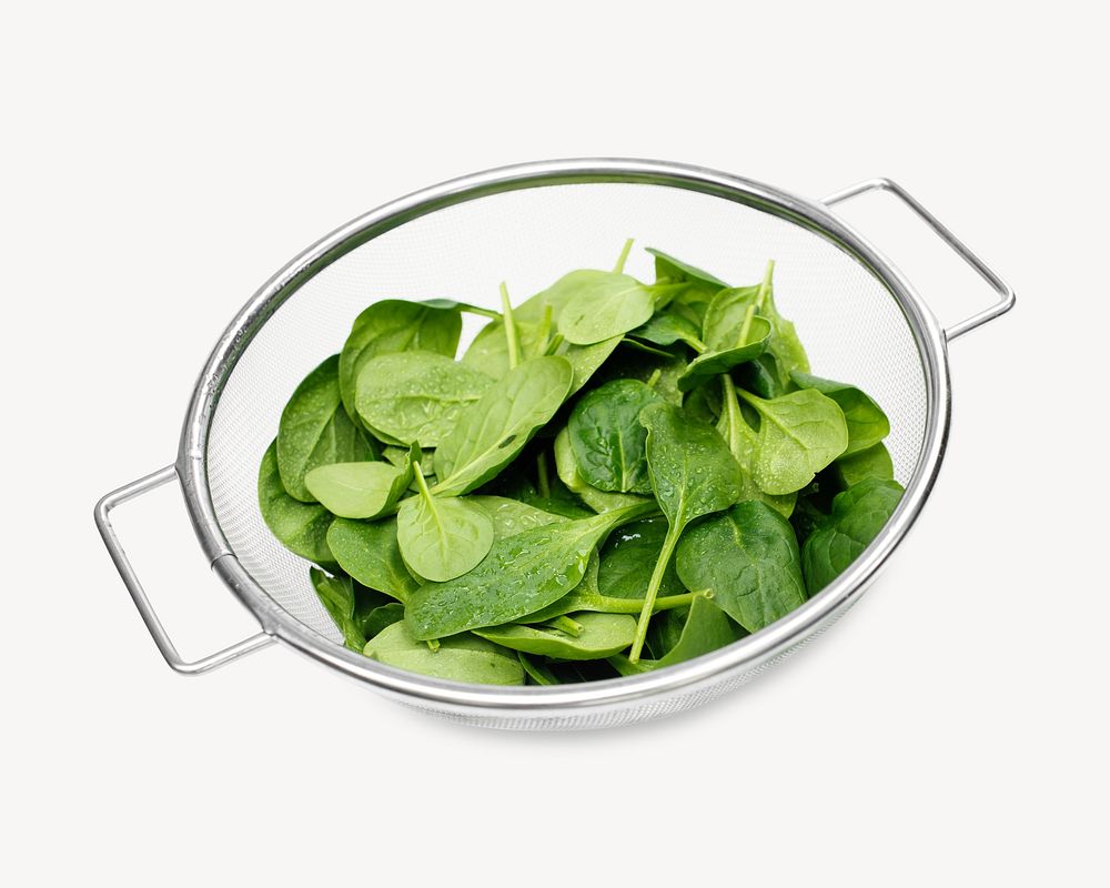 Fresh spinach leaves isolated image