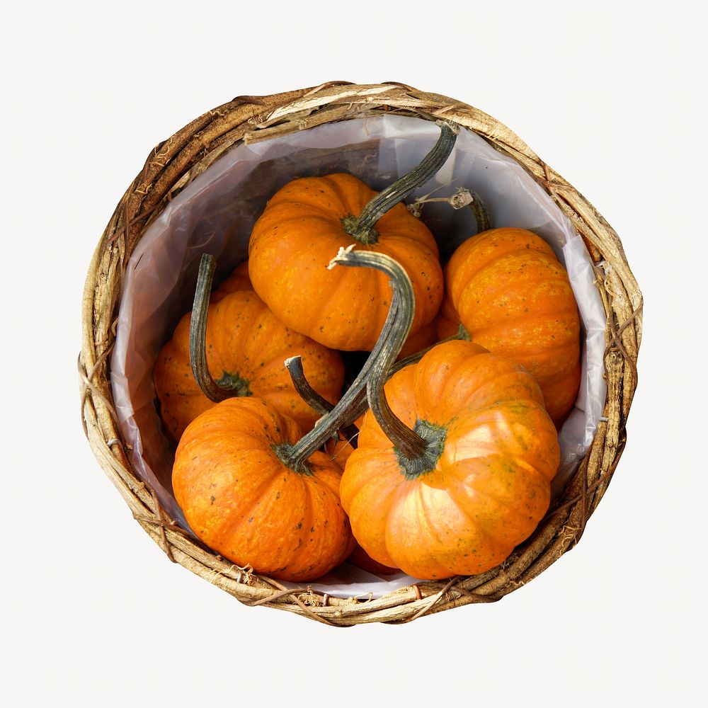 Pumpkins in basket collage element, food & drink isolated image