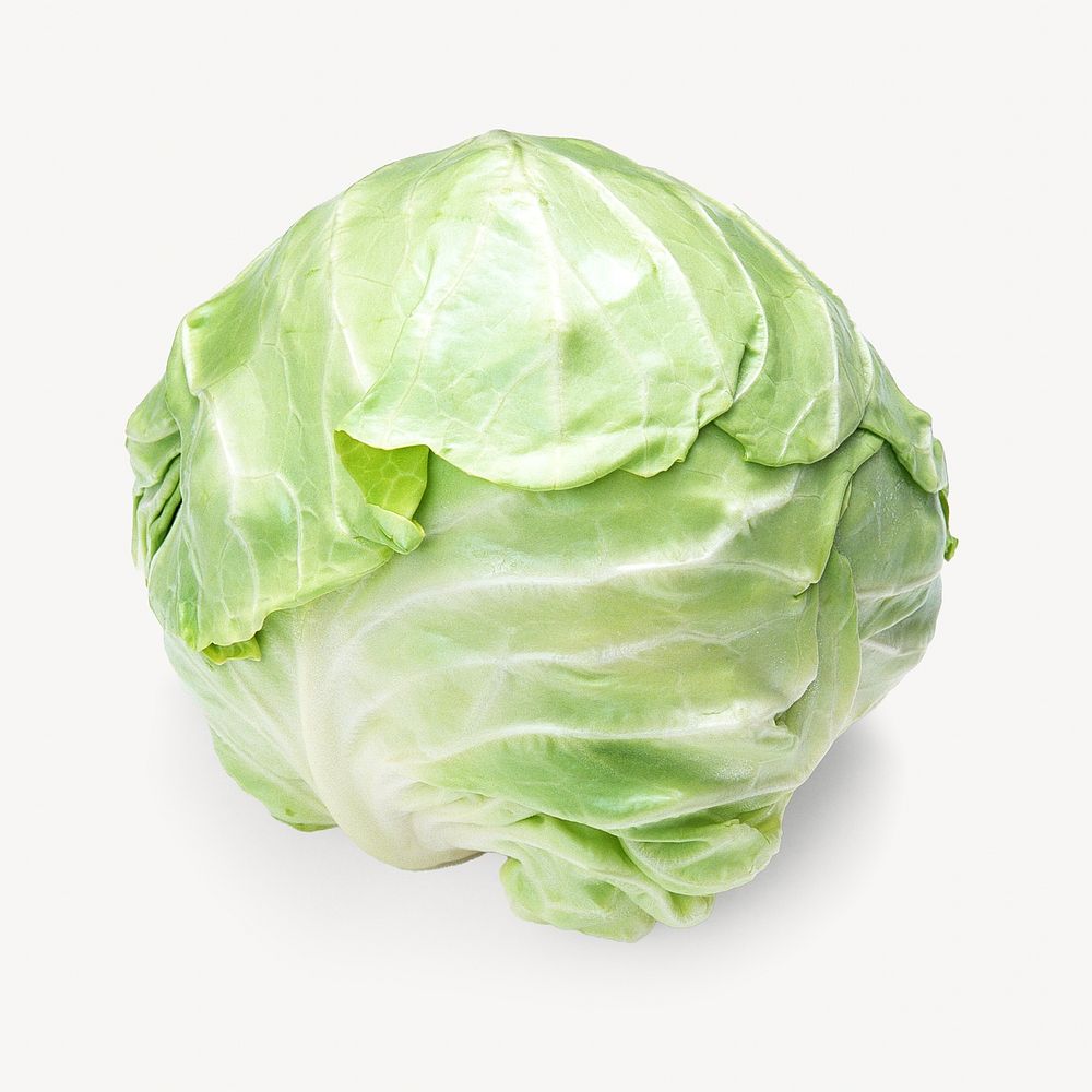 Cabbage vegetable, isolated image