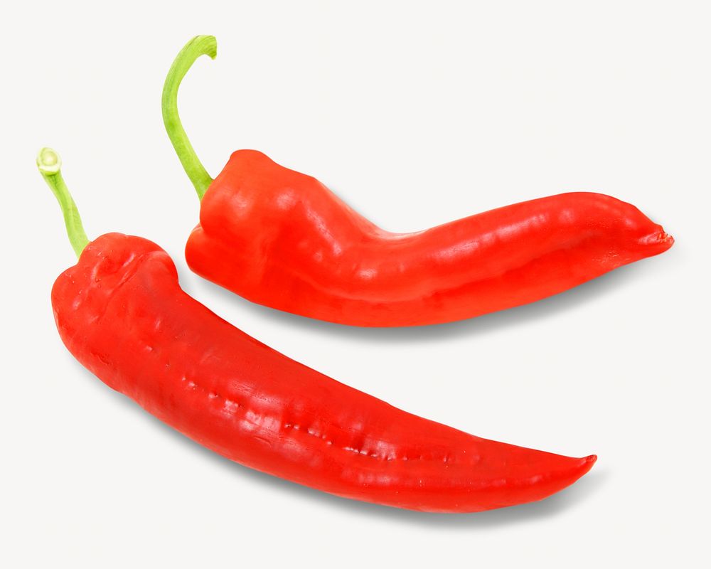 Red chili pepper isolated design