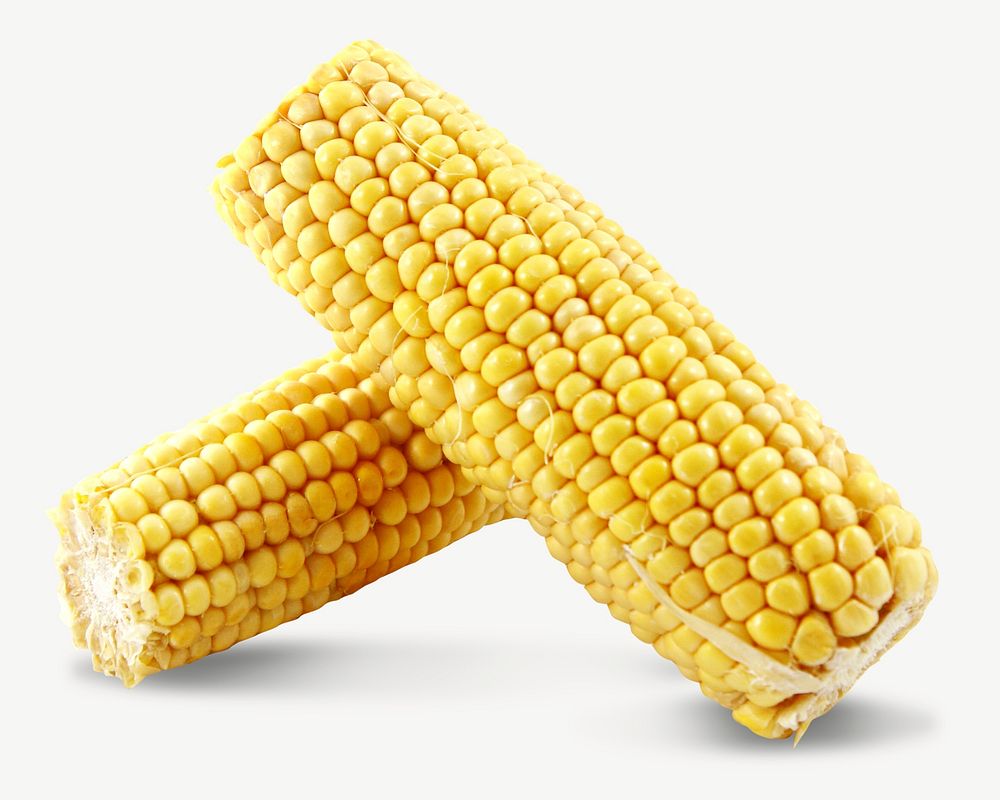 Corn vegetable  collage element psd