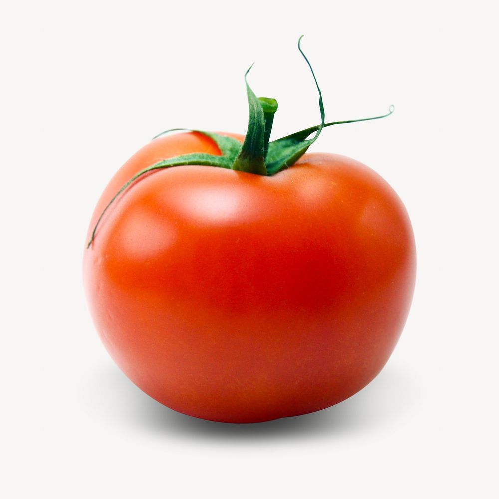 Tomato vegetable isolated design