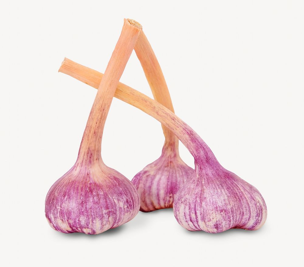 Red garlic vegetable isolated image