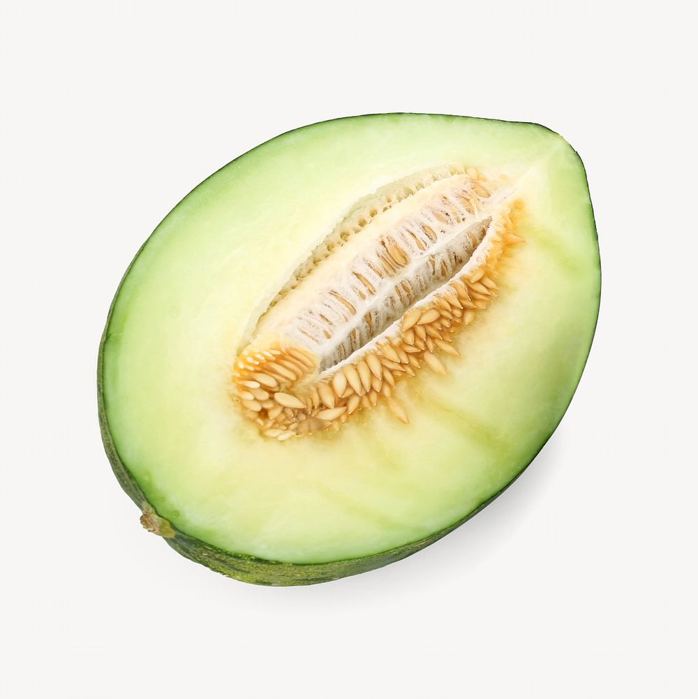 Green melon fruit isolated image