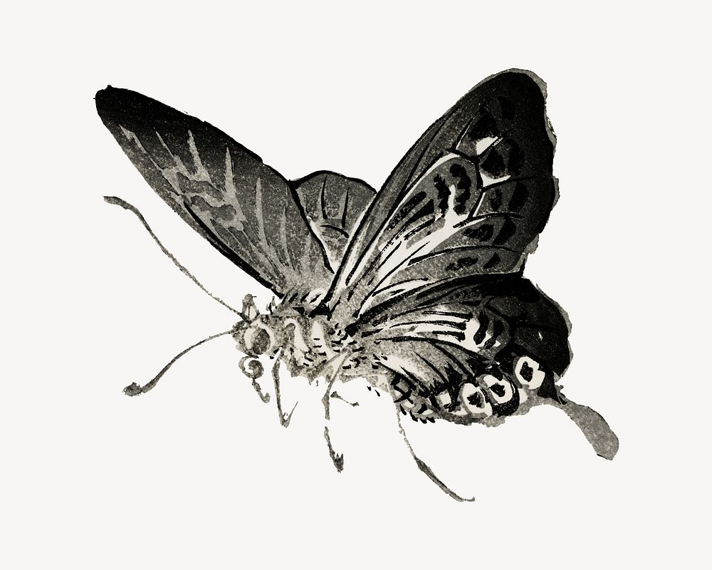 Butterfly vintage illustration, animal isolated design. Remixed by rawpixel.