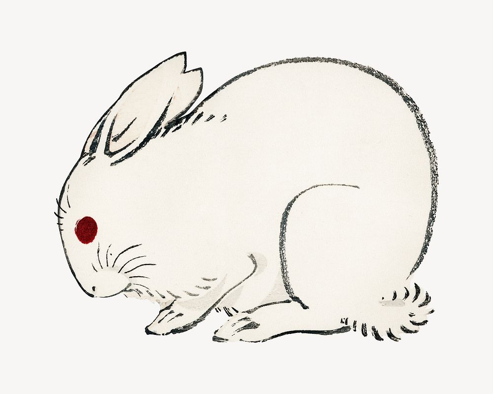 White rabbit vintage illustration, animal isolated design. Remixed by rawpixel.