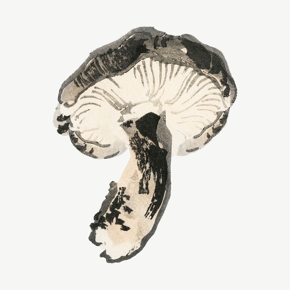 Shitake mushroom illustration  collage element psd. Remixed by rawpixel.
