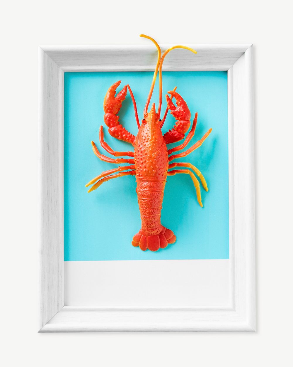Lobster seafood toy on a frame collage element psd