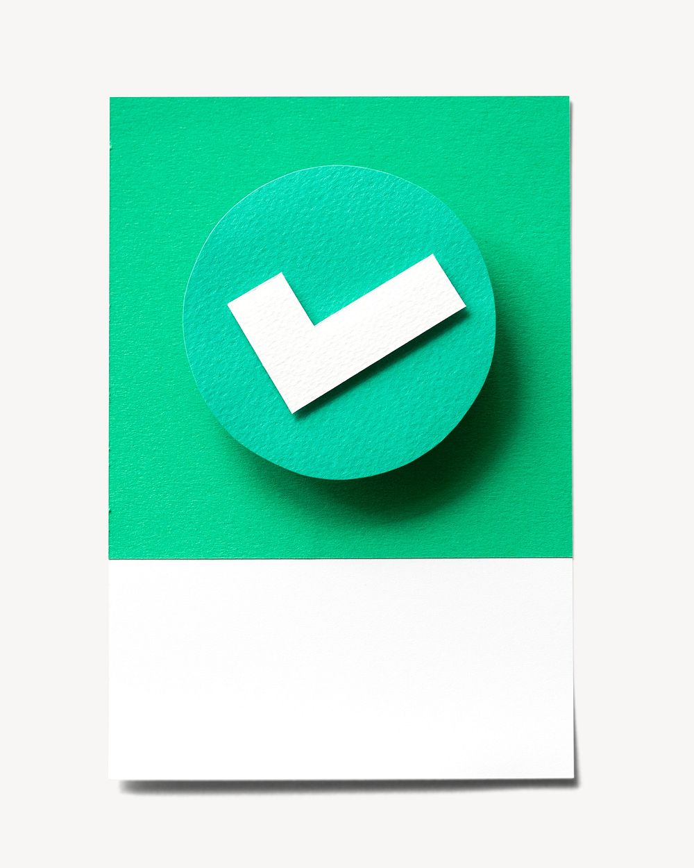 Green check isolated design