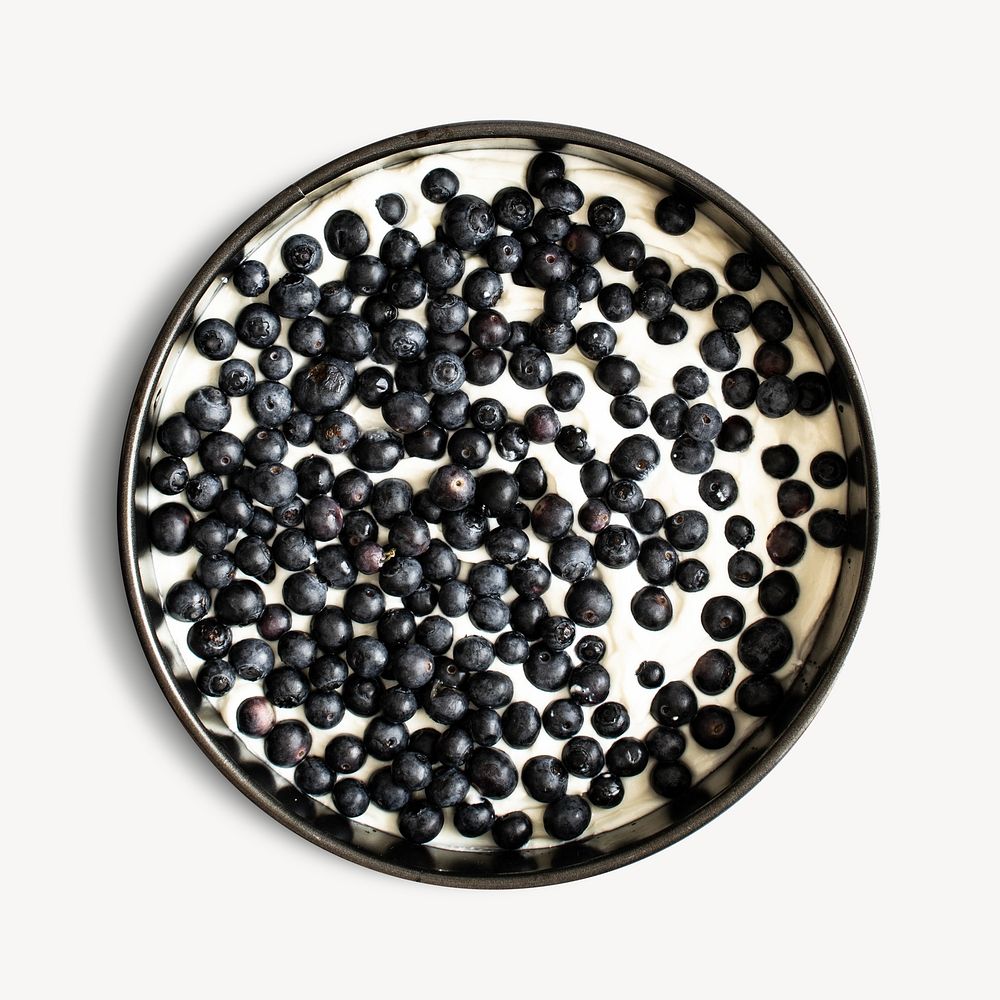 Blueberry isolated design