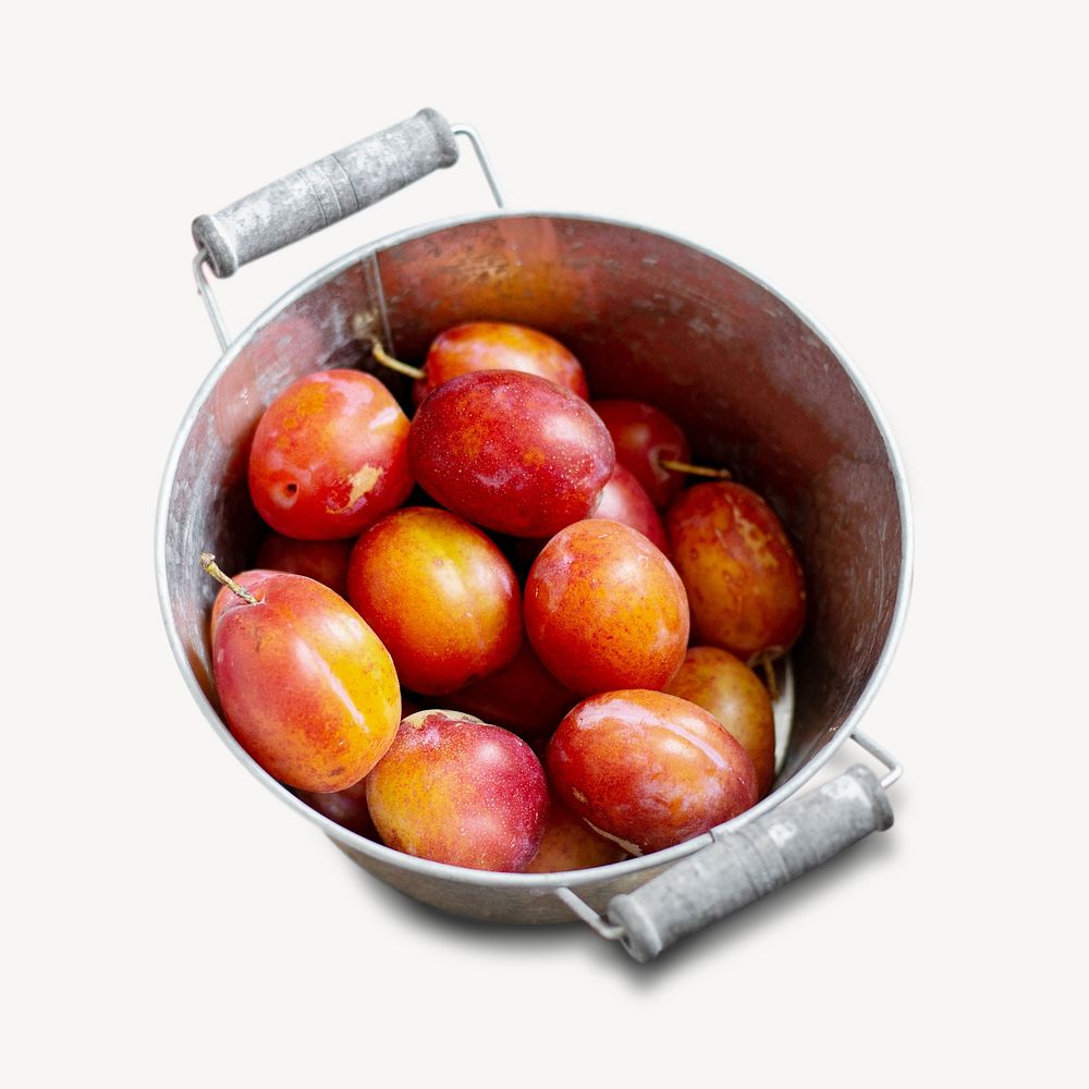 Plums in  pot isolated design