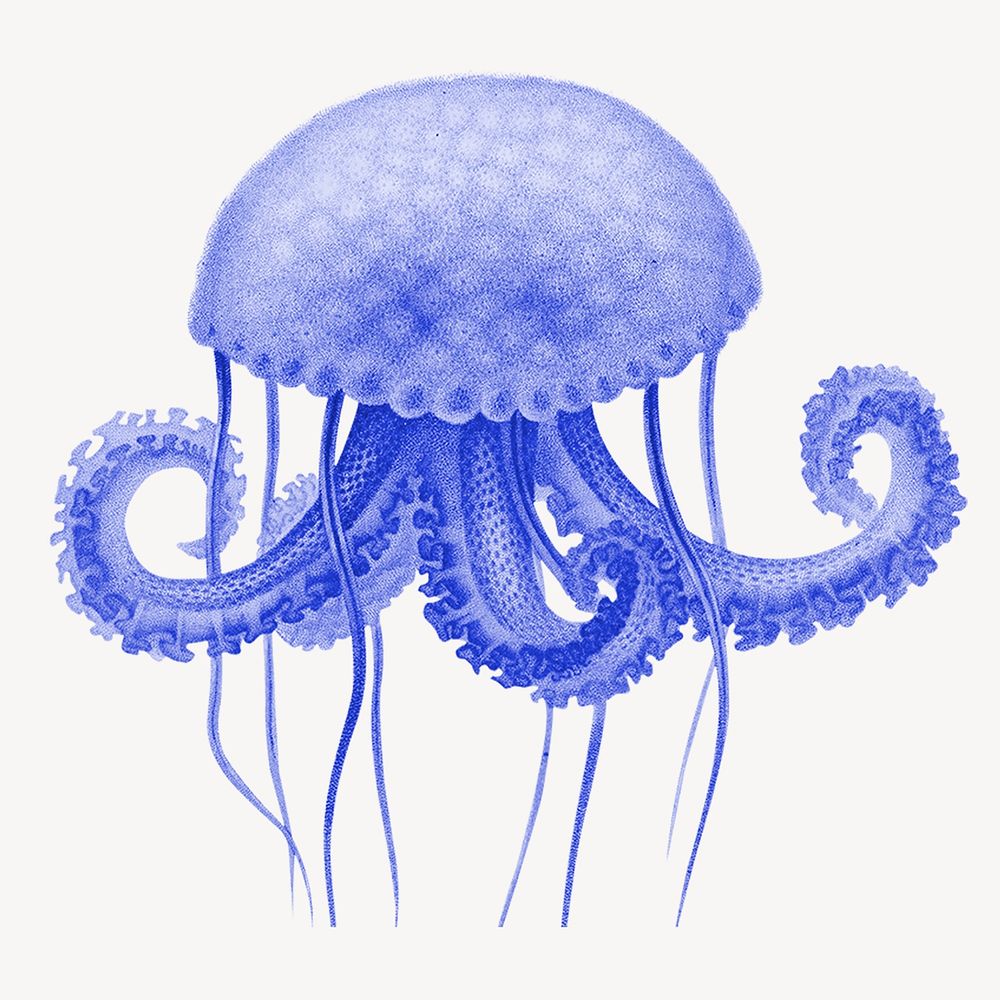 Blue jellyfish illustration, collage element psd