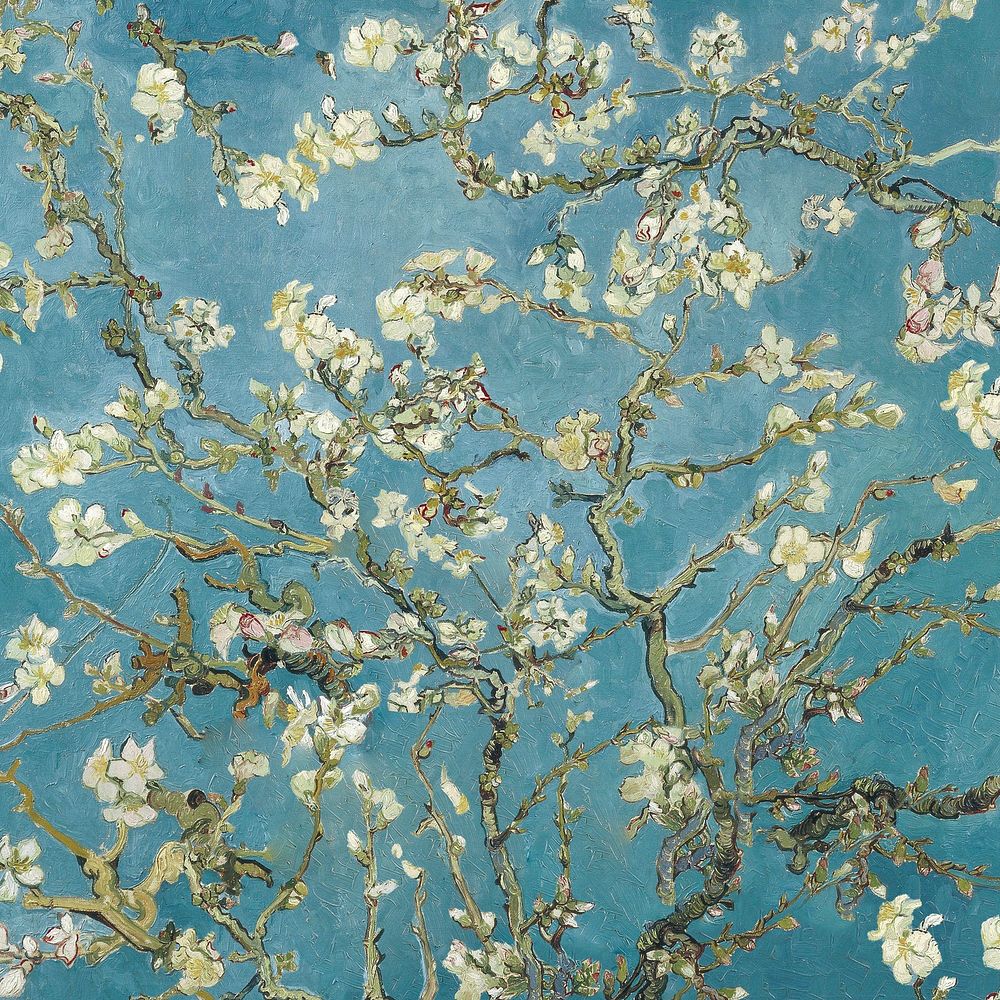 Almond Blossom Van Gogh Images | Free Photos, PNG Stickers, Wallpapers &  Backgrounds - rawpixel