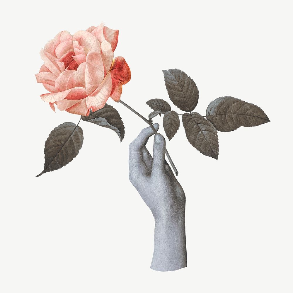 Hand holding rose collage element psd