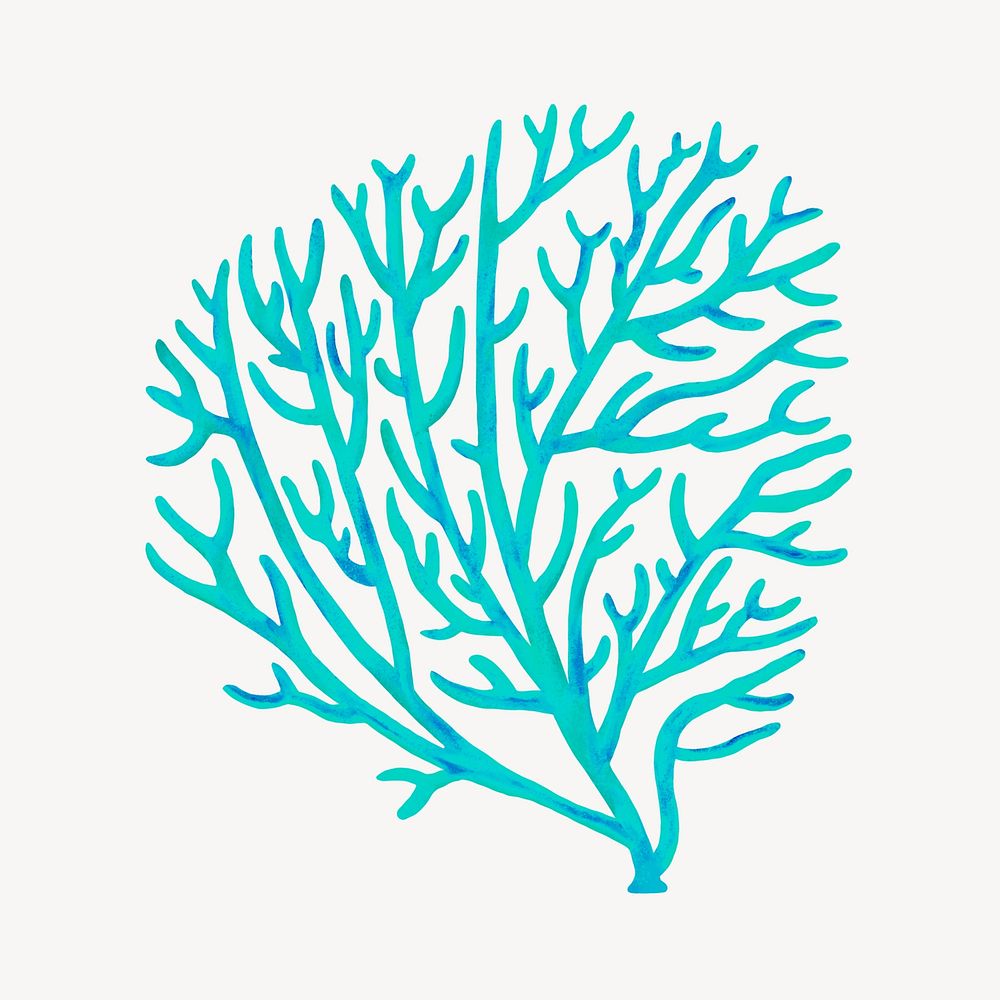Turquoise coral, aesthetic nature illustration