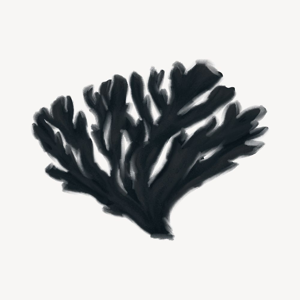 Black coral, aesthetic nature illustration