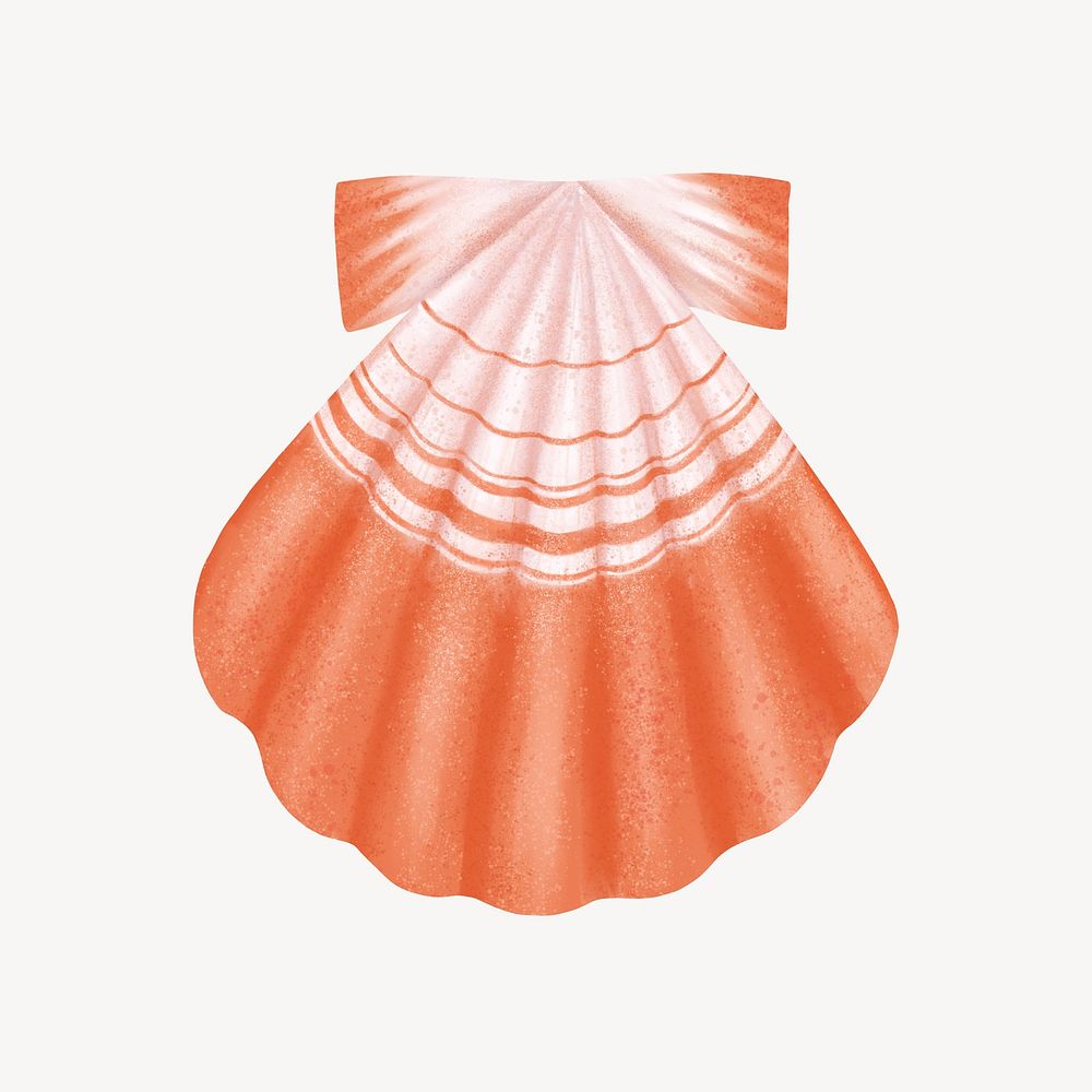 Scallop shell, animal illustration