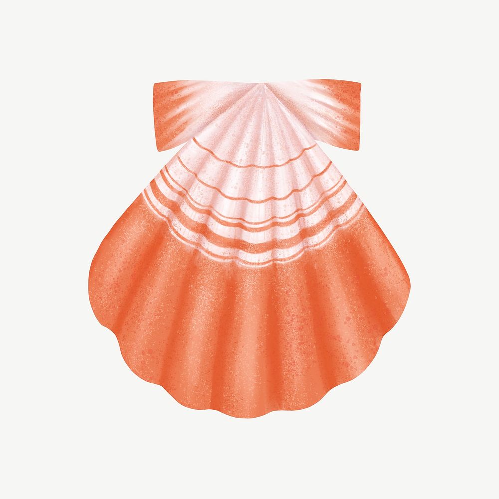 Scallop shell illustration, collage element psd