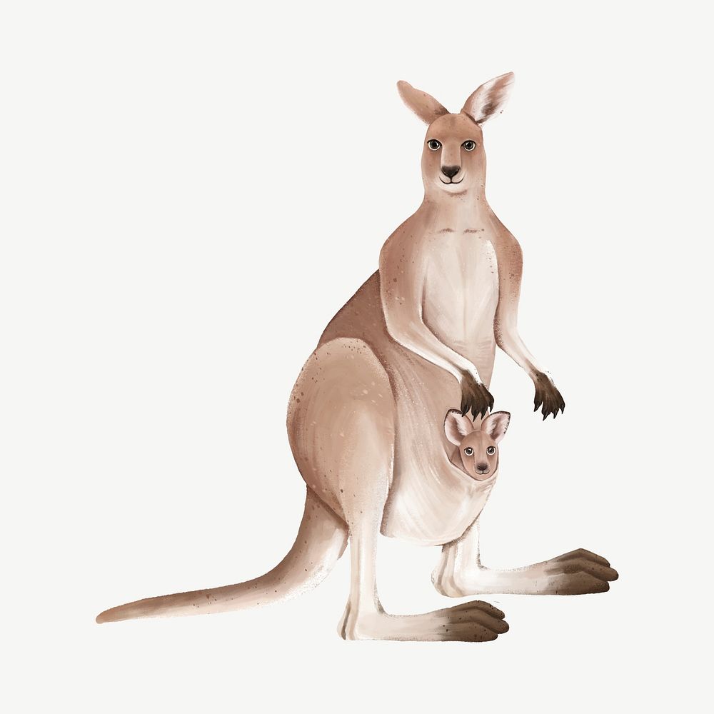 Mother kangaroo, animal illustration, collage element psd