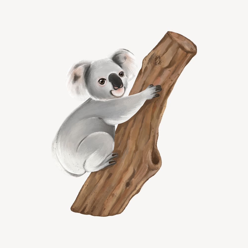 Koala on tree, cute hand drawn illustration