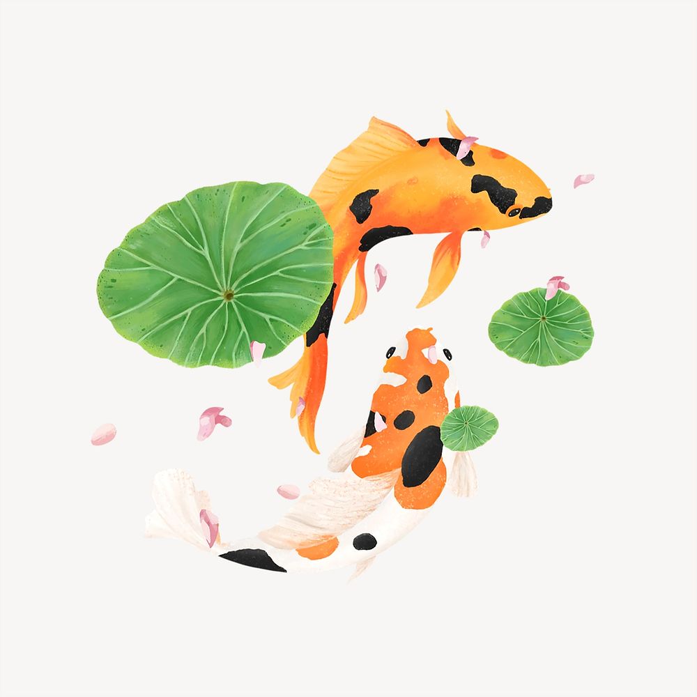 Koi fish, aesthetic nature illustration