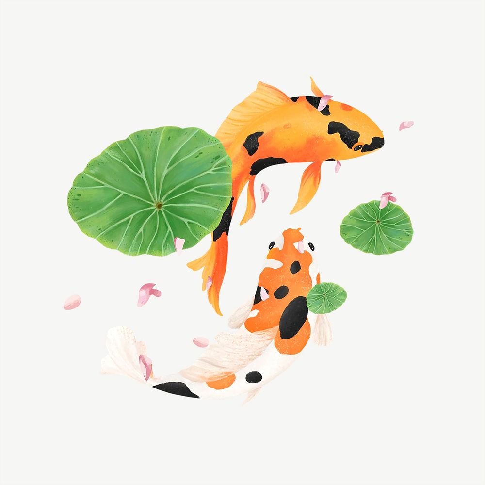 Koi fish, animal illustration, collage element psd