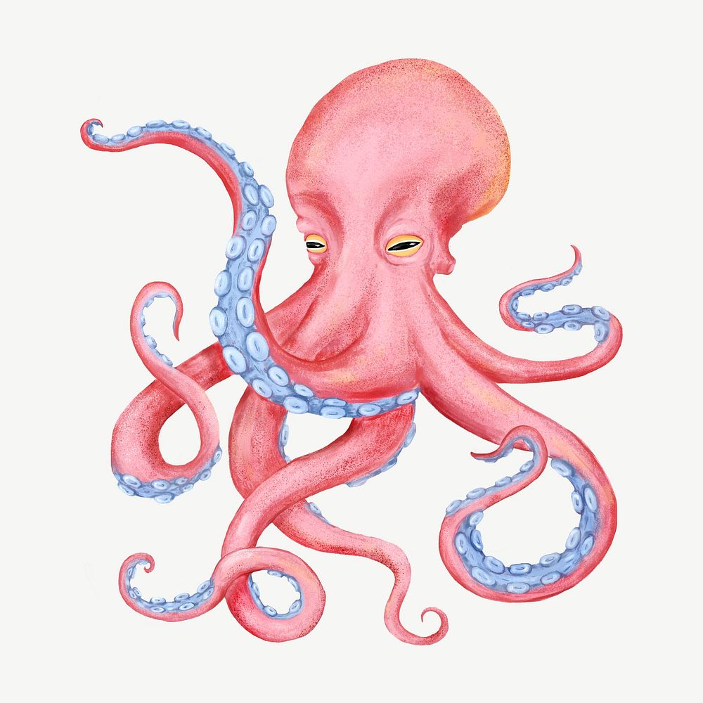 Wise octopus, animal illustration, collage element psd