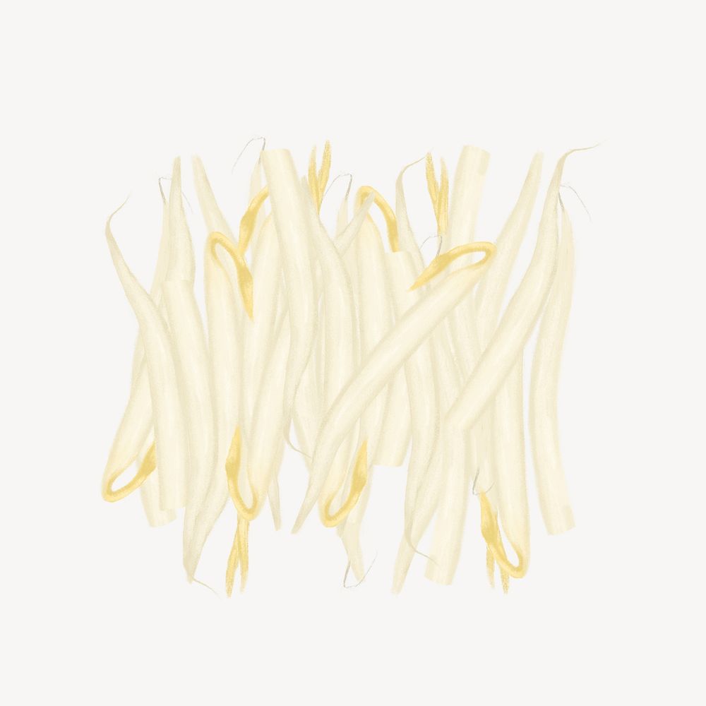 Bean sprout vegetable, Asian food illustration